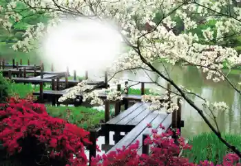 Εφέ φωτογραφιών στην κατηγορία Κορνίζες για φωτογραφίες γυναικών № 50653 Εφέ φωτογραφιών στην κατηγορία Κορνίζες για φωτογραφίες γυναικών № 50653