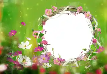 Εφέ φωτογραφιών στην κατηγορία Κορνίζες για φωτογραφίες γυναικών № 52077