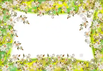 Εφέ φωτογραφιών στην κατηγορία Κορνίζες για φωτογραφίες γυναικών № 52181