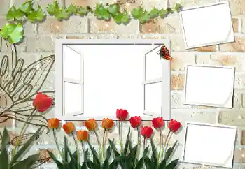 Εφέ φωτογραφιών στην κατηγορία Κορνίζες για φωτογραφίες γυναικών № 53297