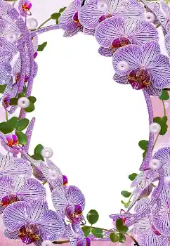 Εφέ φωτογραφιών στην κατηγορία Κορνίζες για φωτογραφίες γυναικών № 5465