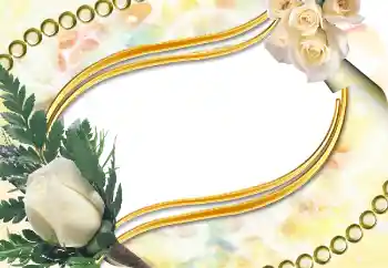 Εφέ φωτογραφιών στην κατηγορία Κορνίζες για φωτογραφίες γυναικών № 5504