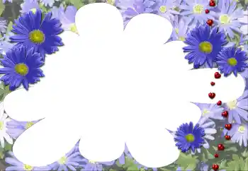 Εφέ φωτογραφιών στην κατηγορία Κορνίζες για φωτογραφίες γυναικών № 5507