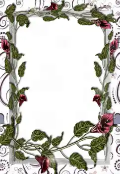 Εφέ φωτογραφιών στην κατηγορία Κορνίζες για φωτογραφίες γυναικών № 5508