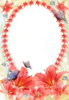 Εφέ φωτογραφιών στην κατηγορία Κορνίζες για φωτογραφίες γυναικών № 5539