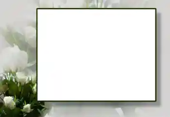 Εφέ φωτογραφιών στην κατηγορία Κορνίζες για φωτογραφίες γυναικών № 55444