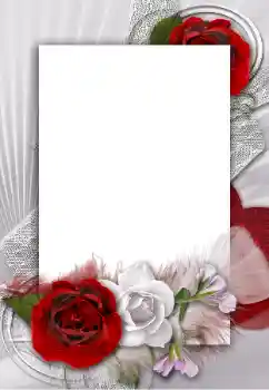 Εφέ φωτογραφιών στην κατηγορία Κορνίζες για φωτογραφίες γυναικών № 55454