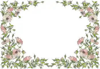 Εφέ φωτογραφιών στην κατηγορία Κορνίζες για φωτογραφίες γυναικών № 55495