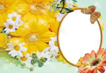 Εφέ φωτογραφιών στην κατηγορία Κορνίζες για φωτογραφίες γυναικών № 55529