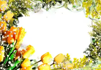 Εφέ φωτογραφιών στην κατηγορία Κορνίζες για φωτογραφίες γυναικών № 5582