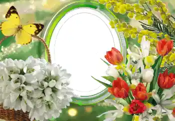 Εφέ φωτογραφιών στην κατηγορία Κορνίζες για φωτογραφίες γυναικών № 56529