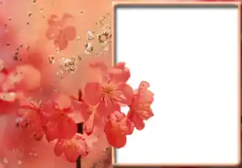 Εφέ φωτογραφιών στην κατηγορία Κορνίζες για φωτογραφίες γυναικών № 57711