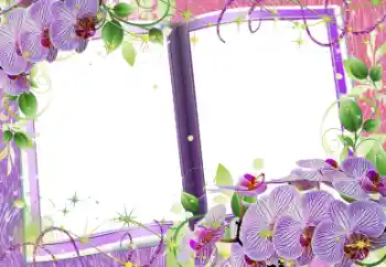 Εφέ φωτογραφιών στην κατηγορία Κορνίζες για φωτογραφίες γυναικών № 58759