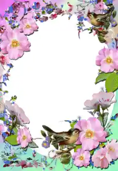 Εφέ φωτογραφιών στην κατηγορία Κορνίζες για φωτογραφίες γυναικών № 58779