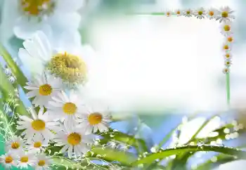 Εφέ φωτογραφιών στην κατηγορία Κορνίζες για φωτογραφίες γυναικών № 59087