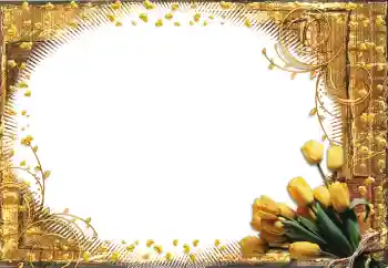 Εφέ φωτογραφιών στην κατηγορία Κορνίζες για φωτογραφίες γυναικών № 60398 Εφέ φωτογραφιών στην κατηγορία Κορνίζες για φωτογραφίες γυναικών № 60398