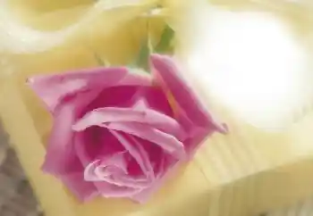 Εφέ φωτογραφιών στην κατηγορία Κορνίζες για φωτογραφίες γυναικών № 64263 Εφέ φωτογραφιών στην κατηγορία Κορνίζες για φωτογραφίες γυναικών № 64263