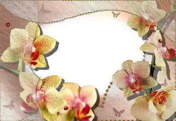 Εφέ φωτογραφιών στην κατηγορία Κορνίζες για φωτογραφίες γυναικών № 64386