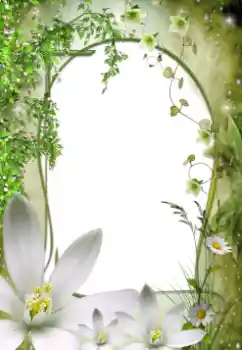 Εφέ φωτογραφιών στην κατηγορία Κορνίζες για φωτογραφίες γυναικών № 64492