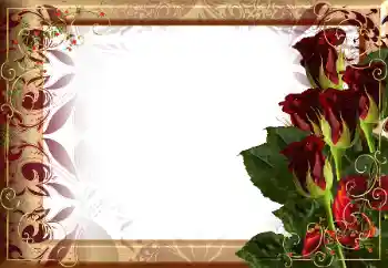 Εφέ φωτογραφιών στην κατηγορία Κορνίζες για φωτογραφίες γυναικών № 65577