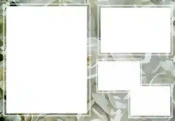 Εφέ φωτογραφιών στην κατηγορία Κορνίζες για φωτογραφίες γυναικών № 65658