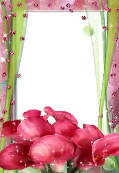 Εφέ φωτογραφιών στην κατηγορία Κορνίζες για φωτογραφίες γυναικών № 67316