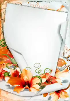 Εφέ φωτογραφιών στην κατηγορία Κορνίζες για φωτογραφίες γυναικών № 68450