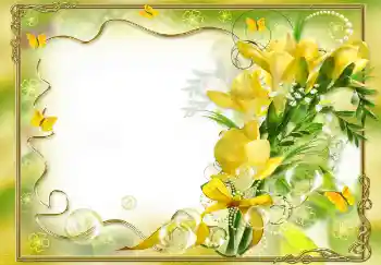 Εφέ φωτογραφιών στην κατηγορία Κορνίζες για φωτογραφίες γυναικών № 68458