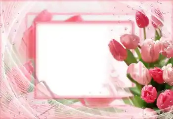 Εφέ φωτογραφιών στην κατηγορία Κορνίζες για φωτογραφίες γυναικών № 68546