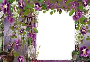 Εφέ φωτογραφιών στην κατηγορία Κορνίζες για φωτογραφίες γυναικών № 68582 Εφέ φωτογραφιών στην κατηγορία Κορνίζες για φωτογραφίες γυναικών № 68582