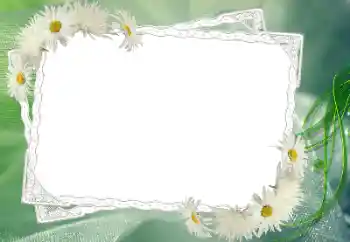 Εφέ φωτογραφιών στην κατηγορία Κορνίζες για φωτογραφίες γυναικών № 68583 Εφέ φωτογραφιών στην κατηγορία Κορνίζες για φωτογραφίες γυναικών № 68583