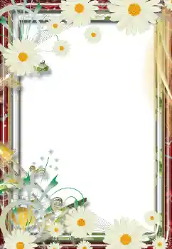 Εφέ φωτογραφιών στην κατηγορία Κορνίζες για φωτογραφίες γυναικών № 68805