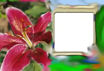 Εφέ φωτογραφιών στην κατηγορία Κορνίζες για φωτογραφίες γυναικών № 69843