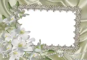 Εφέ φωτογραφιών στην κατηγορία Κορνίζες για φωτογραφίες γυναικών № 69861