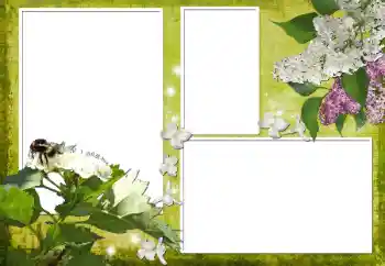 Εφέ φωτογραφιών στην κατηγορία Κορνίζες για φωτογραφίες γυναικών № 70903 Εφέ φωτογραφιών στην κατηγορία Κορνίζες για φωτογραφίες γυναικών № 70903