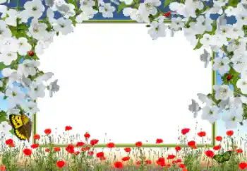 Εφέ φωτογραφιών στην κατηγορία Κορνίζες για φωτογραφίες γυναικών № 72133