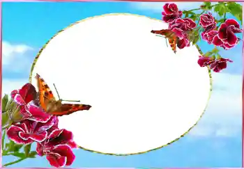 Εφέ φωτογραφιών στην κατηγορία Κορνίζες για φωτογραφίες γυναικών № 73784