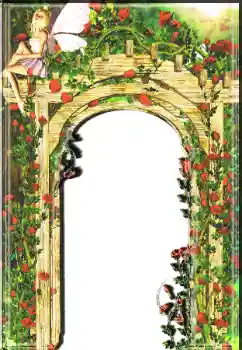 Εφέ φωτογραφιών στην κατηγορία Κορνίζες για φωτογραφίες γυναικών № 7510