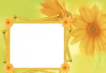 Εφέ φωτογραφιών στην κατηγορία Κορνίζες για φωτογραφίες γυναικών № 76821