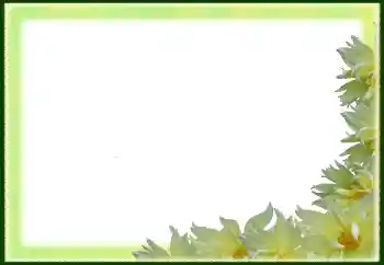 Εφέ φωτογραφιών στην κατηγορία Κορνίζες για φωτογραφίες γυναικών № 79029 Εφέ φωτογραφιών στην κατηγορία Κορνίζες για φωτογραφίες γυναικών № 79029