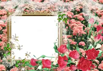 Εφέ φωτογραφιών στην κατηγορία Κορνίζες για φωτογραφίες γυναικών № 80390 Εφέ φωτογραφιών στην κατηγορία Κορνίζες για φωτογραφίες γυναικών № 80390