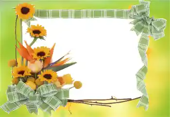 Εφέ φωτογραφιών στην κατηγορία Κορνίζες για φωτογραφίες γυναικών № 81823 Εφέ φωτογραφιών στην κατηγορία Κορνίζες για φωτογραφίες γυναικών № 81823