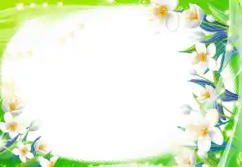 Εφέ φωτογραφιών στην κατηγορία Κορνίζες για φωτογραφίες γυναικών № 8470