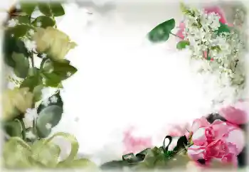 Εφέ φωτογραφιών στην κατηγορία Κορνίζες για φωτογραφίες γυναικών № 85356 Εφέ φωτογραφιών στην κατηγορία Κορνίζες για φωτογραφίες γυναικών № 85356