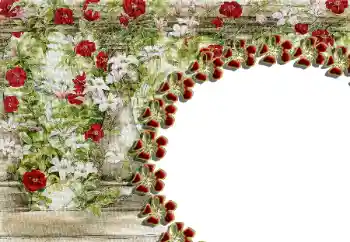 Εφέ φωτογραφιών στην κατηγορία Κορνίζες για φωτογραφίες γυναικών № 85429 Εφέ φωτογραφιών στην κατηγορία Κορνίζες για φωτογραφίες γυναικών № 85429