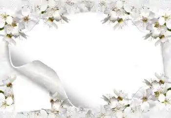 Εφέ φωτογραφιών στην κατηγορία Κορνίζες για φωτογραφίες γυναικών № 8554