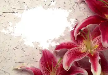 Εφέ φωτογραφιών στην κατηγορία Κορνίζες για φωτογραφίες γυναικών № 8596