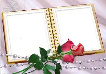 Εφέ φωτογραφιών στην κατηγορία Κορνίζες για φωτογραφίες γυναικών № 8629