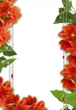 Εφέ φωτογραφιών στην κατηγορία Κορνίζες για φωτογραφίες γυναικών № 8632