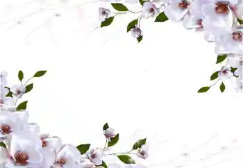 Εφέ φωτογραφιών στην κατηγορία Κορνίζες για φωτογραφίες γυναικών № 87722 Εφέ φωτογραφιών στην κατηγορία Κορνίζες για φωτογραφίες γυναικών № 87722